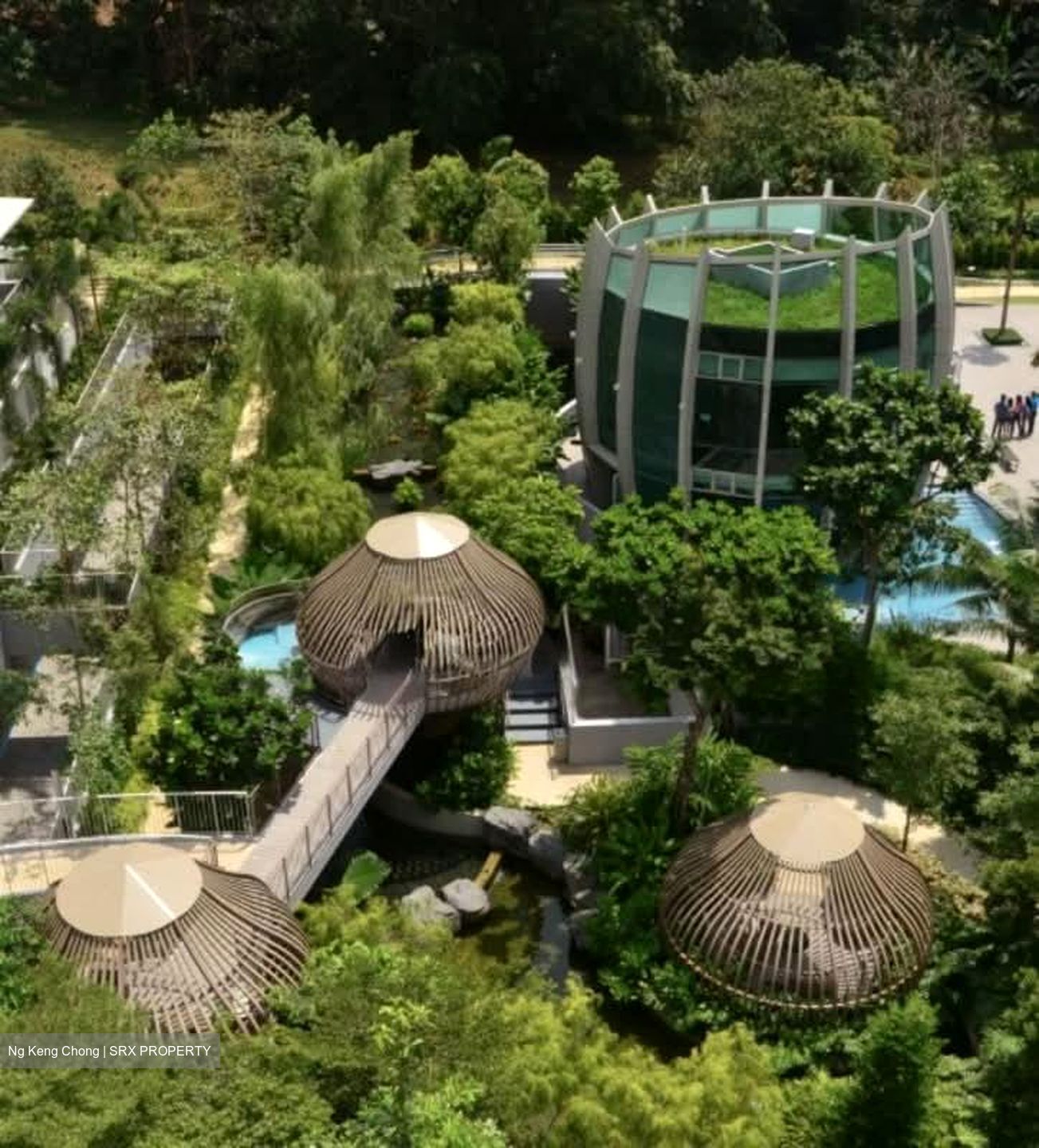 Tree House (D23), Condominium #562081131